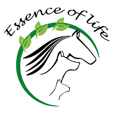 ESSENCE OF LIFE