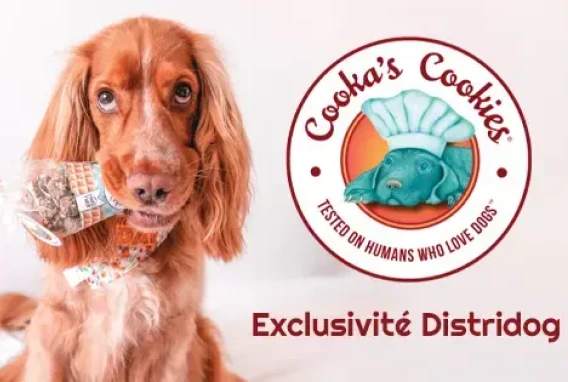 image de couverture COOKA'S COOKIES