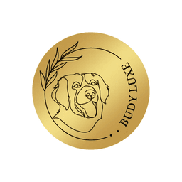 logo Budyluxe